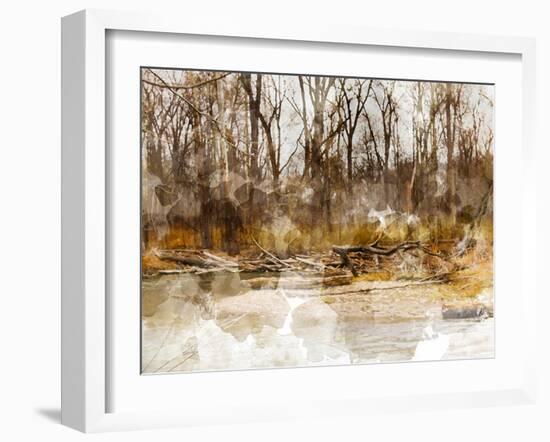 Autumn Forest II-Chamira Young-Framed Art Print