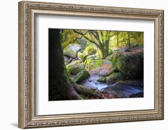 Autumn forest in Brittany-Philippe Manguin-Framed Photographic Print