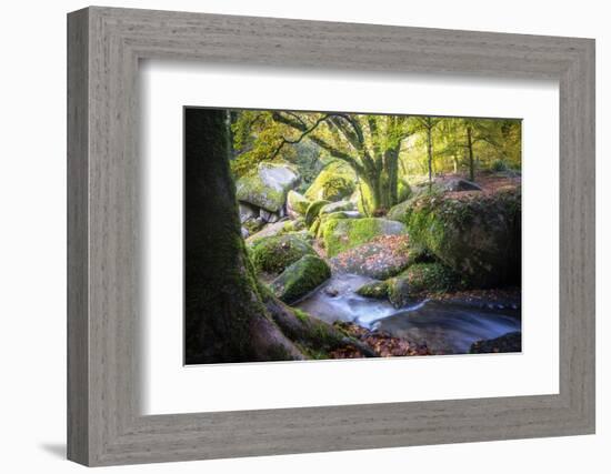 Autumn forest in Brittany-Philippe Manguin-Framed Photographic Print