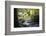 Autumn forest in Brittany-Philippe Manguin-Framed Photographic Print