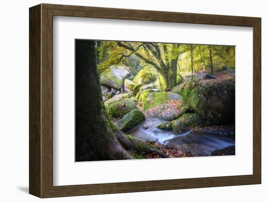 Autumn forest in Brittany-Philippe Manguin-Framed Photographic Print