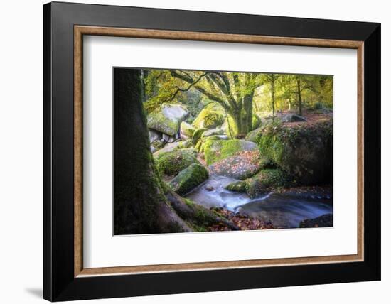 Autumn forest in Brittany-Philippe Manguin-Framed Photographic Print