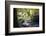 Autumn forest in Brittany-Philippe Manguin-Framed Photographic Print