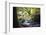 Autumn forest in Brittany-Philippe Manguin-Framed Photographic Print