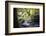 Autumn forest in Brittany-Philippe Manguin-Framed Photographic Print