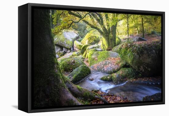 Autumn forest in Brittany-Philippe Manguin-Framed Premier Image Canvas