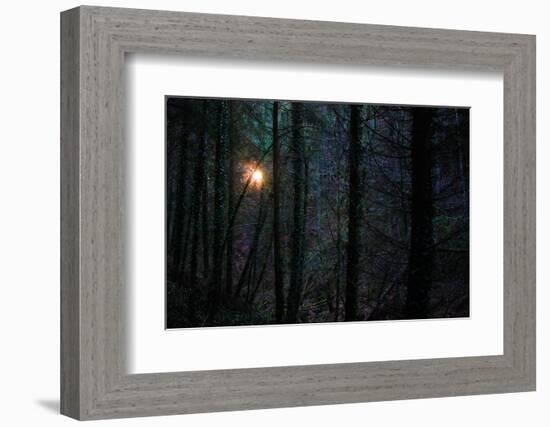 Autumn forest in the sundown, Baden-Wurttemberg, Germany [M]-Michael Hartmann-Framed Photographic Print