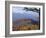 Autumn Forest Landscape Near Loft Mountain, Shenandoah National Park, Virginia, USA-James Green-Framed Photographic Print