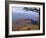 Autumn Forest Landscape Near Loft Mountain, Shenandoah National Park, Virginia, USA-James Green-Framed Photographic Print