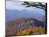 Autumn Forest Landscape Near Loft Mountain, Shenandoah National Park, Virginia, USA-James Green-Mounted Photographic Print