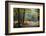 Autumn Forest Leaves-Philippe Manguin-Framed Photographic Print