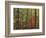 Autumn forest near Peaks of Otter, Blue Ridge Parkway, Appalachian Mountains, Virginia, USA-Charles Gurche-Framed Photographic Print