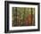 Autumn forest near Peaks of Otter, Blue Ridge Parkway, Appalachian Mountains, Virginia, USA-Charles Gurche-Framed Photographic Print