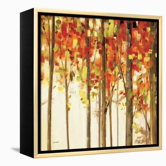 Autumn Forest Study III-Lisa Audit-Framed Stretched Canvas