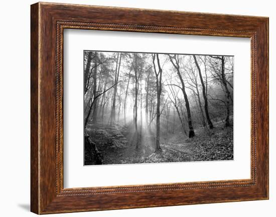 Autumn Forest With Fog And Lights-udvarhazi-Framed Photographic Print