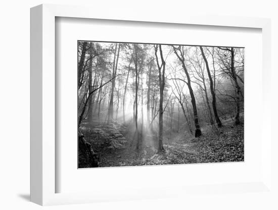 Autumn Forest With Fog And Lights-udvarhazi-Framed Photographic Print