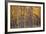 Autumn Forest-Steve Gadomski-Framed Photographic Print