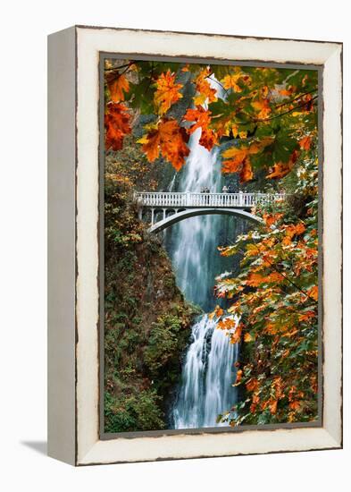 Autumn Frame at Multnomah Falls, Columbia River Gorge, Oregon-Vincent James-Framed Premier Image Canvas