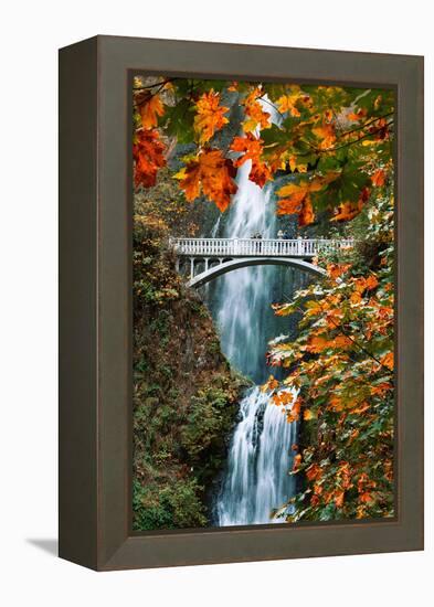 Autumn Frame at Multnomah Falls, Columbia River Gorge, Oregon-Vincent James-Framed Premier Image Canvas