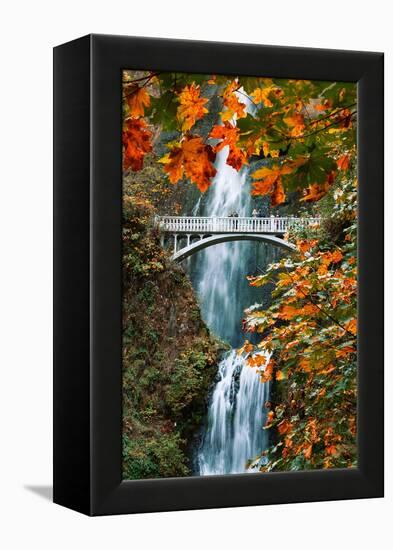 Autumn Frame at Multnomah Falls, Columbia River Gorge, Oregon-Vincent James-Framed Premier Image Canvas