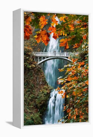 Autumn Frame at Multnomah Falls, Columbia River Gorge, Oregon-Vincent James-Framed Premier Image Canvas
