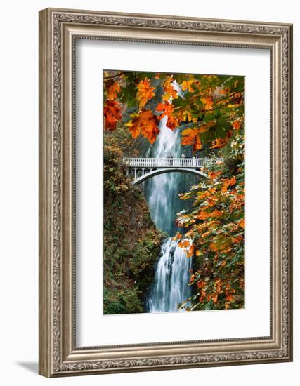 Autumn Frame at Multnomah Falls, Columbia River Gorge, Oregon-Vincent James-Framed Photographic Print