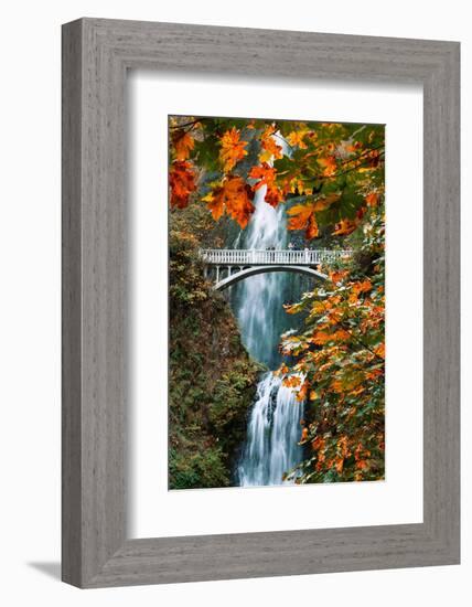 Autumn Frame at Multnomah Falls, Columbia River Gorge, Oregon-Vincent James-Framed Photographic Print