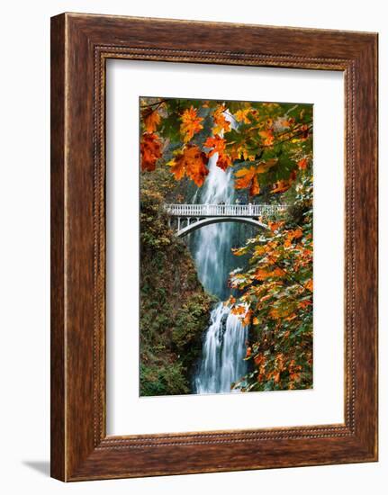 Autumn Frame at Multnomah Falls, Columbia River Gorge, Oregon-Vincent James-Framed Photographic Print