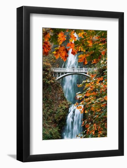 Autumn Frame at Multnomah Falls, Columbia River Gorge, Oregon-Vincent James-Framed Photographic Print