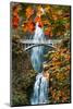 Autumn Frame at Multnomah Falls, Columbia River Gorge, Oregon-Vincent James-Mounted Photographic Print