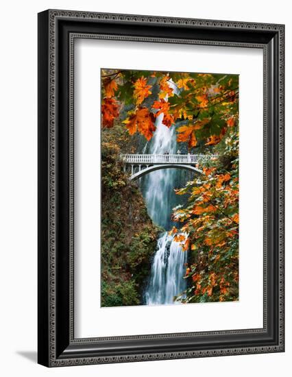 Autumn Frame at Multnomah Falls, Columbia River Gorge, Oregon-Vincent James-Framed Photographic Print