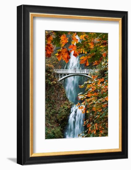 Autumn Frame at Multnomah Falls, Columbia River Gorge, Oregon-Vincent James-Framed Photographic Print