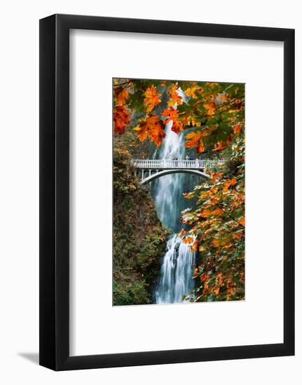 Autumn Frame at Multnomah Falls, Columbia River Gorge, Oregon-Vincent James-Framed Photographic Print