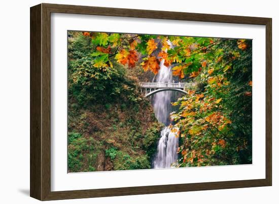 Autumn Frame at Multnomah Falls, Waterfall Columbia River Gorge, Oregon-Vincent James-Framed Photographic Print