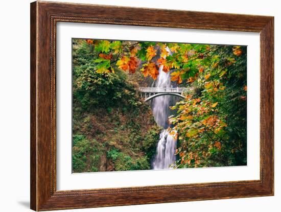 Autumn Frame at Multnomah Falls, Waterfall Columbia River Gorge, Oregon-Vincent James-Framed Photographic Print