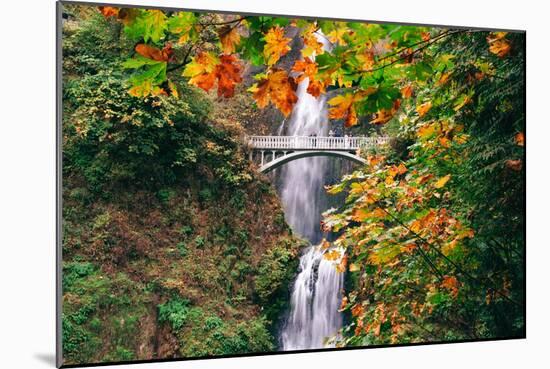 Autumn Frame at Multnomah Falls, Waterfall Columbia River Gorge, Oregon-Vincent James-Mounted Photographic Print