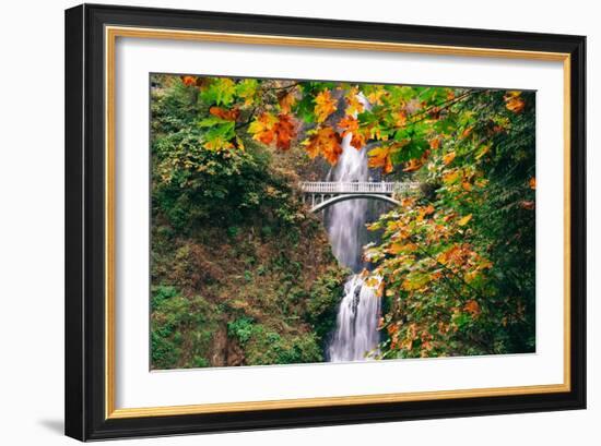 Autumn Frame at Multnomah Falls, Waterfall Columbia River Gorge, Oregon-Vincent James-Framed Photographic Print