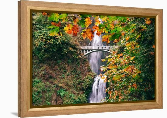 Autumn Frame at Multnomah Falls, Waterfall Columbia River Gorge, Oregon-Vincent James-Framed Premier Image Canvas
