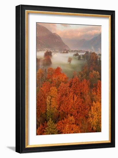 Autumn Frame-Ales Krivec-Framed Giclee Print