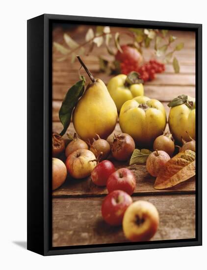 Autumn Fruits: Quinces, Medlars, Rowan Berries, Apples & Pears-Luzia Ellert-Framed Premier Image Canvas