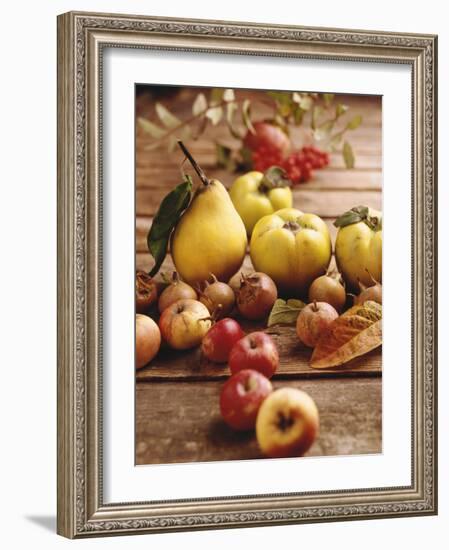 Autumn Fruits: Quinces, Medlars, Rowan Berries, Apples & Pears-Luzia Ellert-Framed Photographic Print