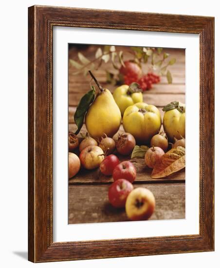 Autumn Fruits: Quinces, Medlars, Rowan Berries, Apples & Pears-Luzia Ellert-Framed Photographic Print