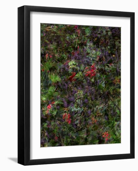 Autumn Fruits-Doug Chinnery-Framed Photographic Print