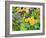 Autumn Garden-Christopher Ryland-Framed Giclee Print