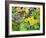 Autumn Garden-Christopher Ryland-Framed Giclee Print