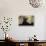 Autumn Gingko IV-Rita Crane-Framed Premier Image Canvas displayed on a wall