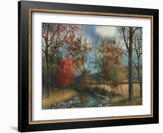 Autumn Glory I-David Swanagin-Framed Art Print