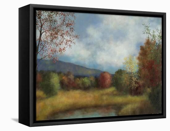 Autumn Glory II-David Swanagin-Framed Stretched Canvas