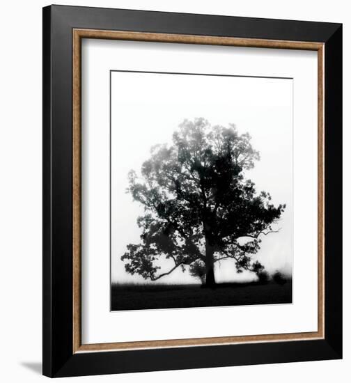 Autumn Glory-Erin Clark-Framed Art Print