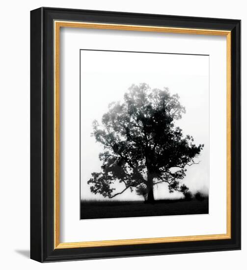 Autumn Glory-Erin Clark-Framed Art Print